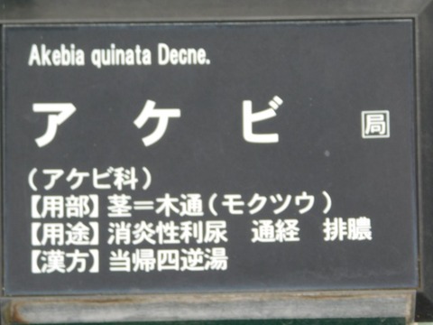 DSCN6459