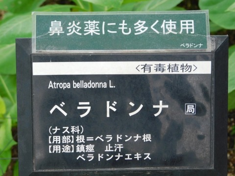 DSCN7079