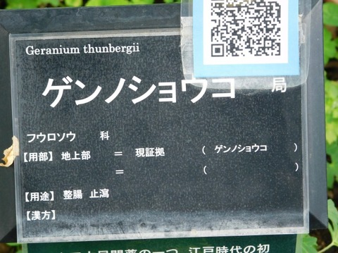 DSCN2631