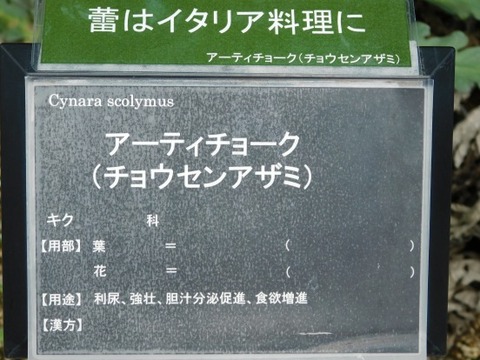 DSCN2105
