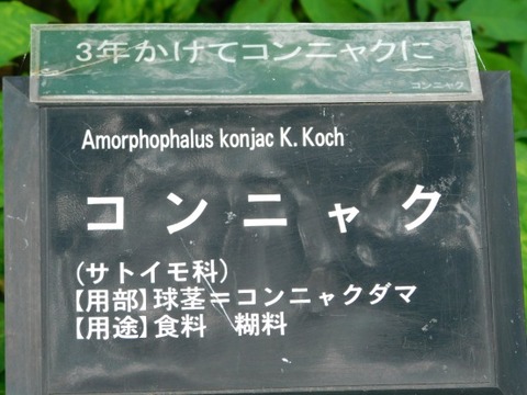 DSCN2077