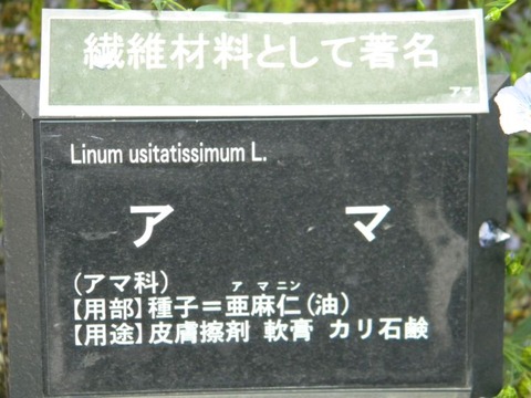 DSCN9008