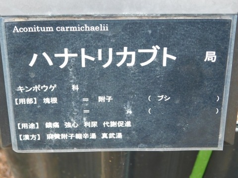 DSCN6148