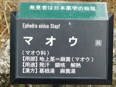 DSCN3195