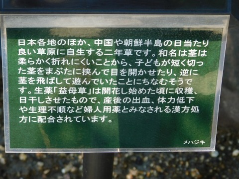 DSCN2157