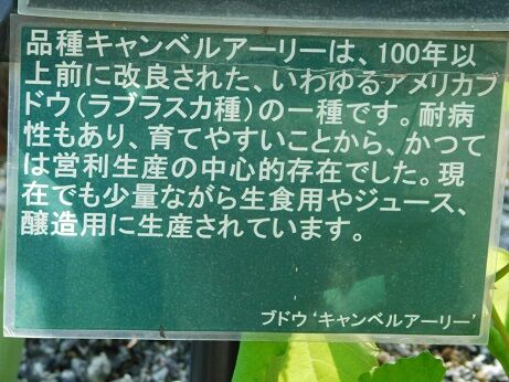 DSCN0115