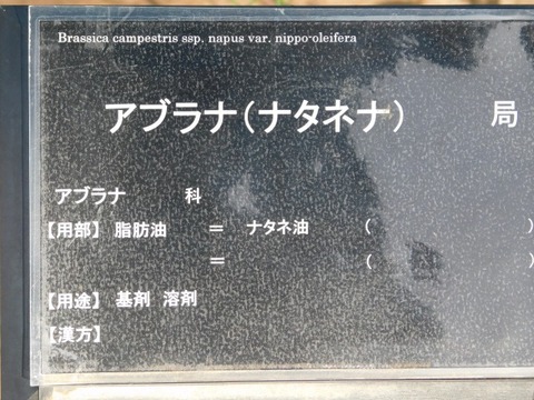 DSCN3841