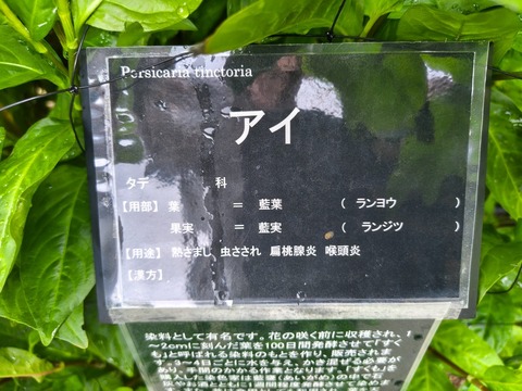 IMG_20260903_084811966_HDR