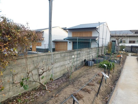 DSCN3396