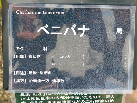 DSCN9710