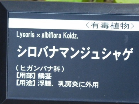 DSCN2726