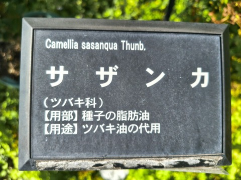 IMG_20261008_134423622_HDR