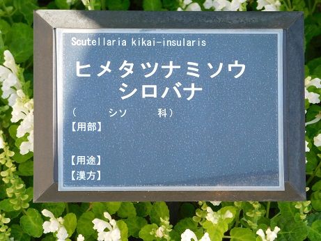 DSCN4783