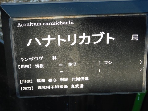 DSCN3506