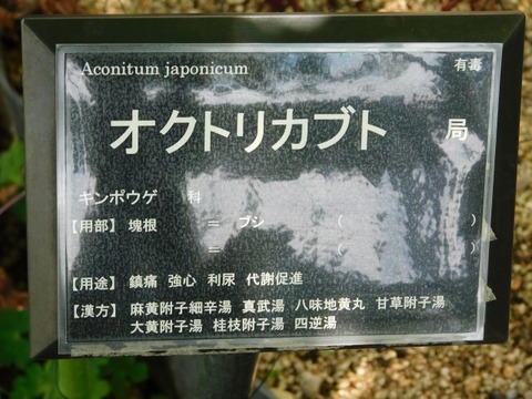 DSCN2764