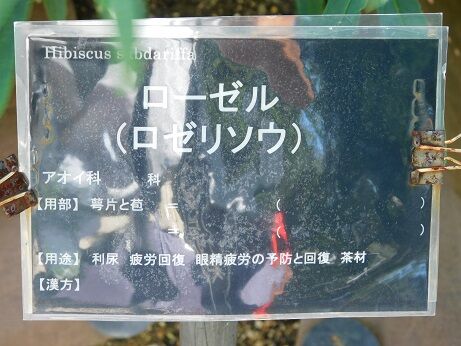 DSCN8476