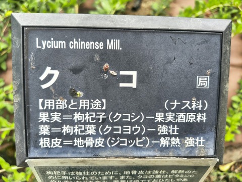 IMG_20260827_134321957_HDR