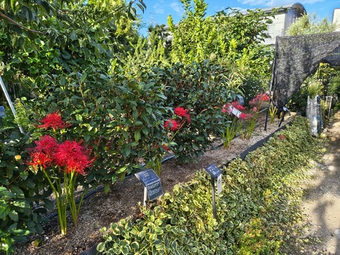 IMG_20260925_070918392_HDR