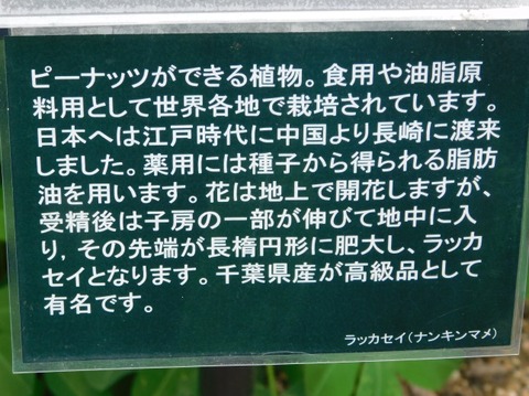 DSCN2328