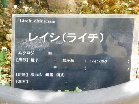 DSCN7202