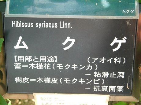 DSCN3648
