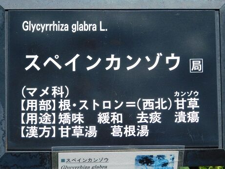 DSCN7780