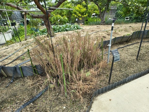 IMG_20260723_113508811_HDR