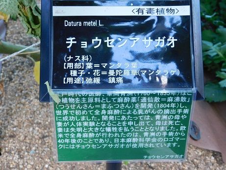 DSCN3593