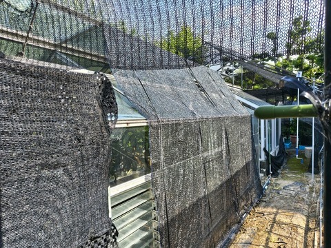 IMG_20260716_154720844_HDR
