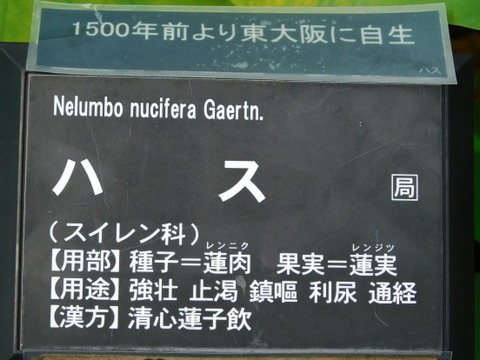 DSCN2286