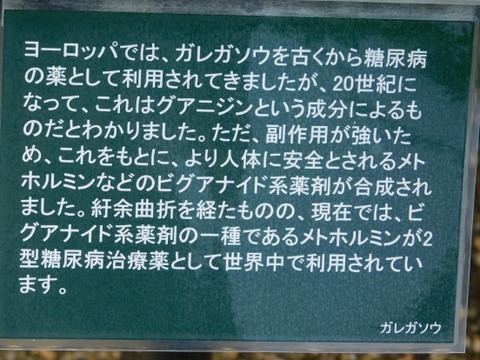 DSCN2103