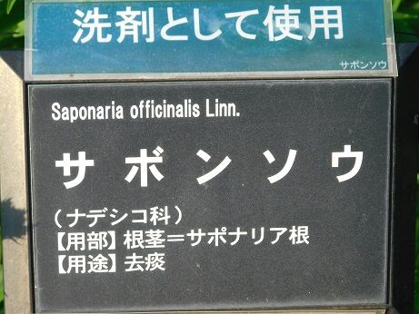 DSCN9809