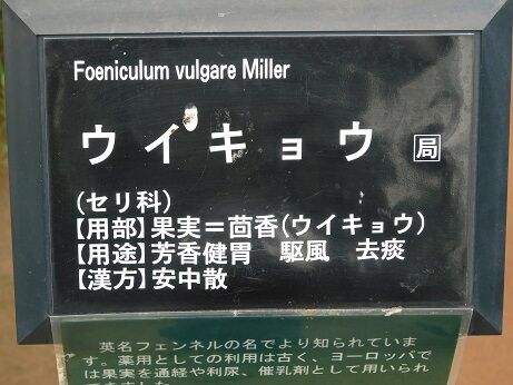 DSCN8017
