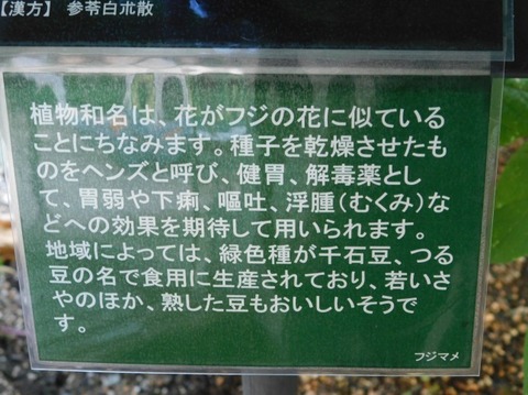 DSCN2365