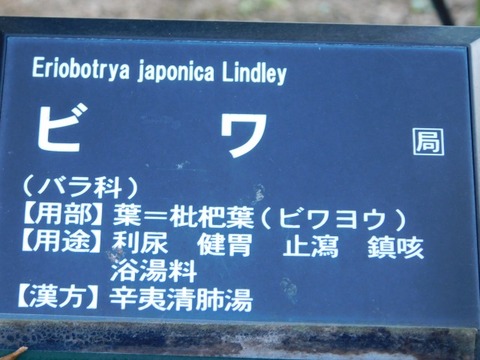 DSCN3195