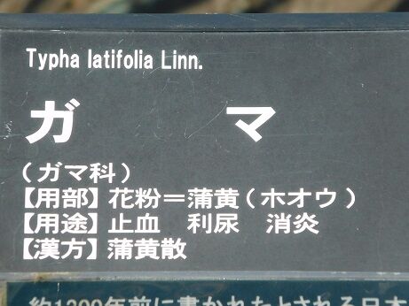 DSCN9834