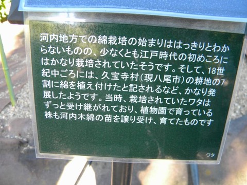 DSCN9856