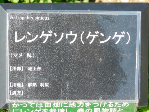 DSCN4487