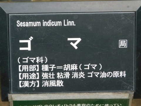 DSCN7315