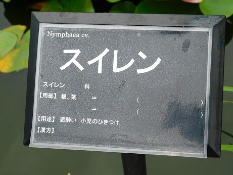 DSCN9878