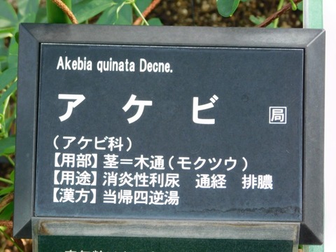 DSCN7364