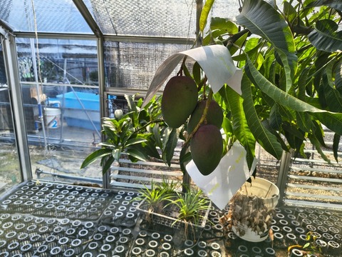 IMG_20260716_154736809_HDR