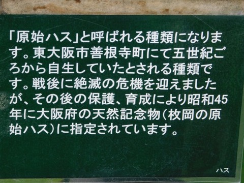 DSCN2287