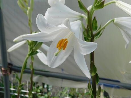 DSCN4922