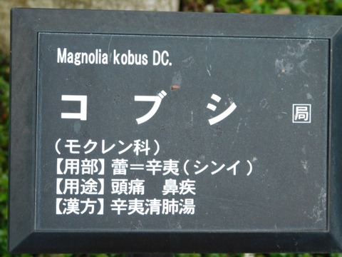 DSCN3627