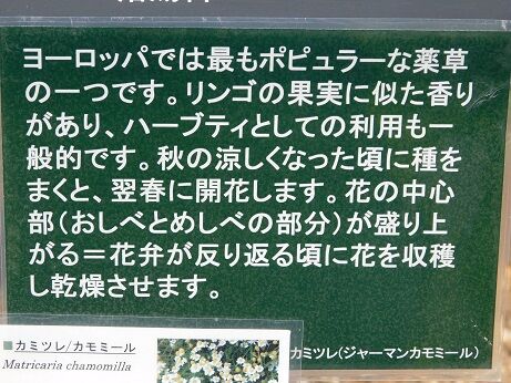 DSCN9473