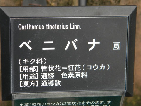 DSCN9911