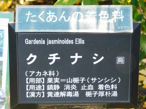 DSCN3127