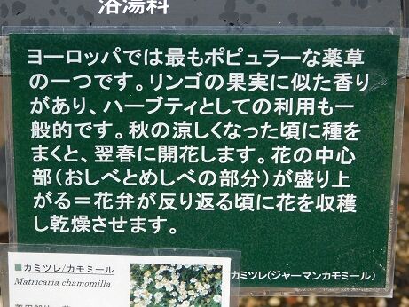 DSCN9535