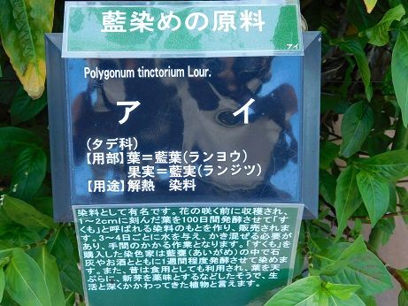 DSCN3599